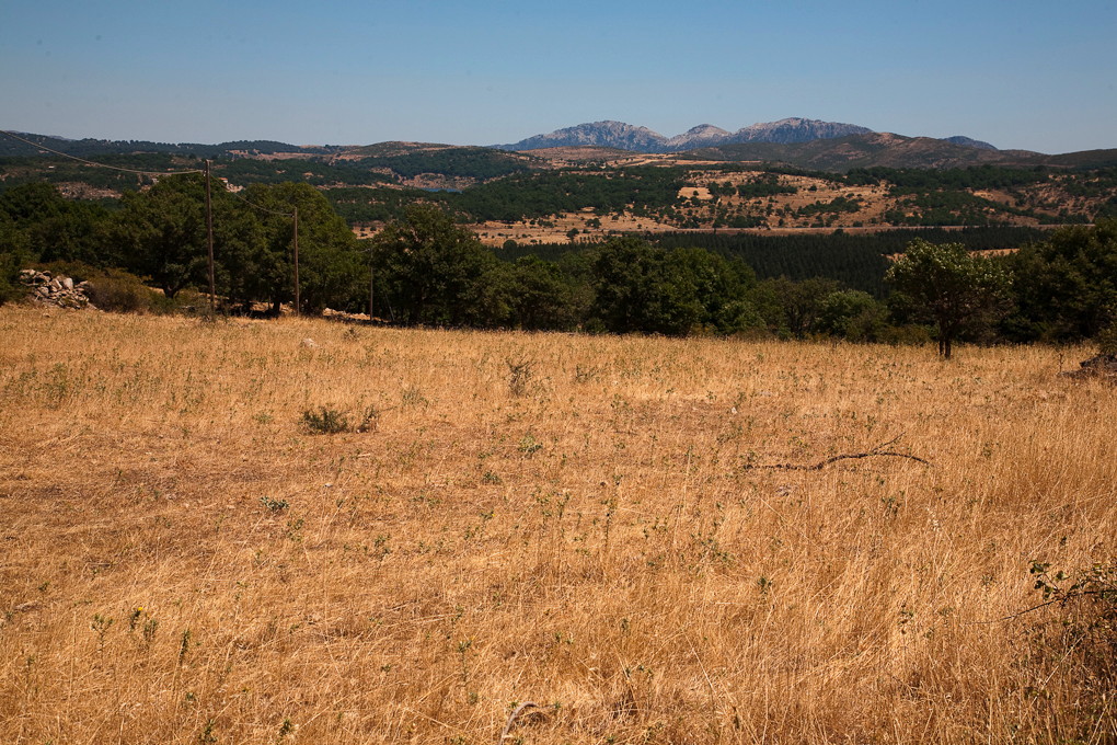 Barbagia, Nuoro